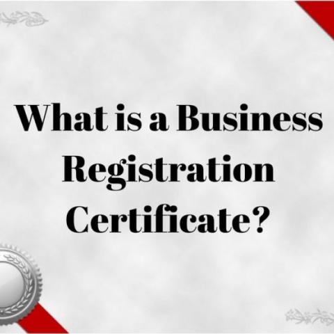 What is the company registration certificate?